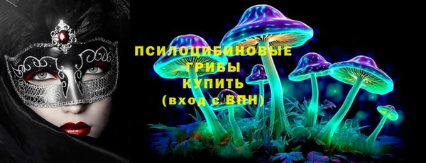 метадон Белокуриха